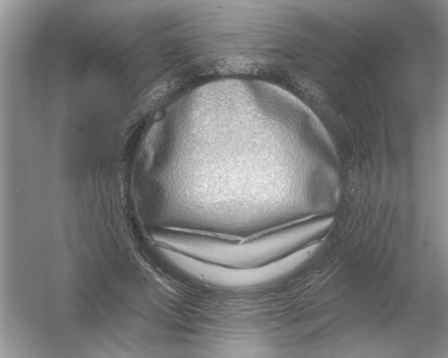 X0000053000687200508051135