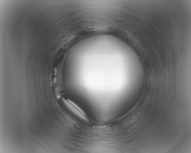 X0000053000689200508051135