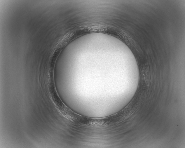 X0000053000690200508051134