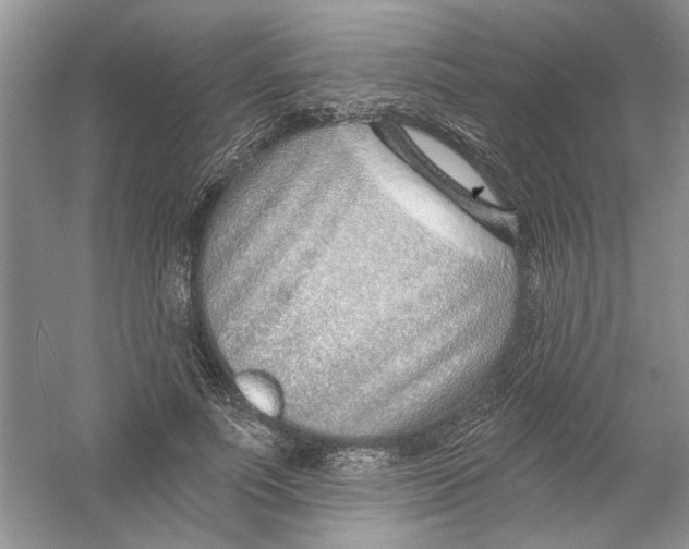 X0000053000691200508051134