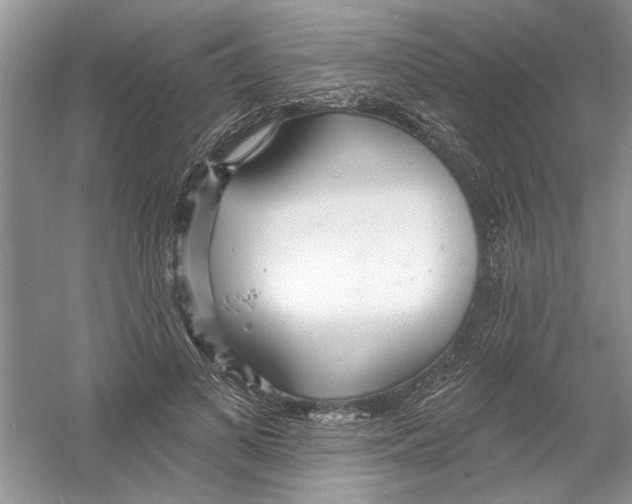 X0000053000693200508051134