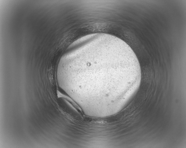 X0000053000695200508051134