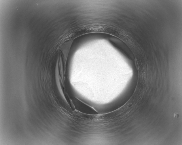 X0000053000696200508051134