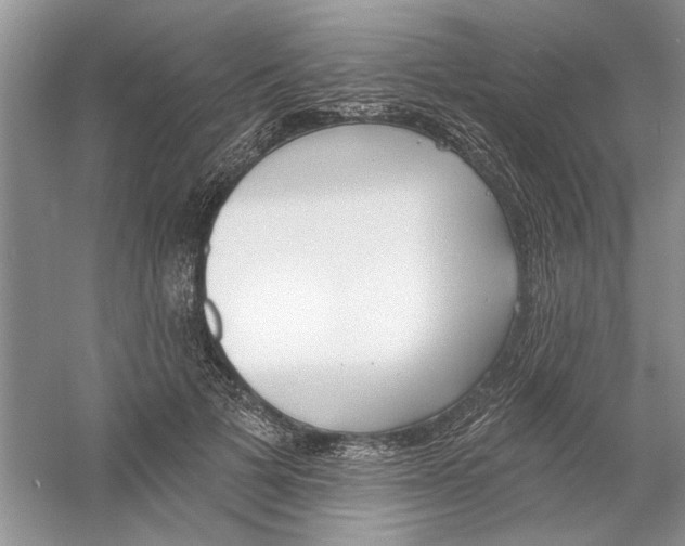 X0000053000697200508051134