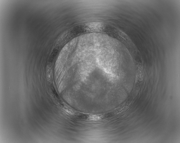 X0000053000701200508051134