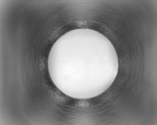 X0000053000702200508051134