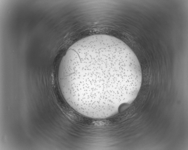 X0000053000703200508051134