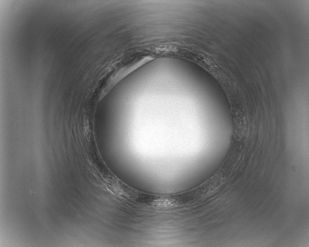 X0000053000704200508051134