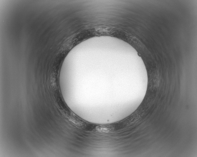 X0000053000706200508051134