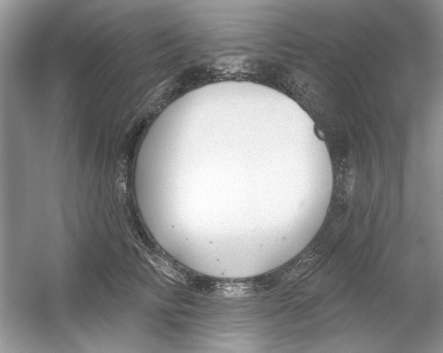 X0000053000710200508051134