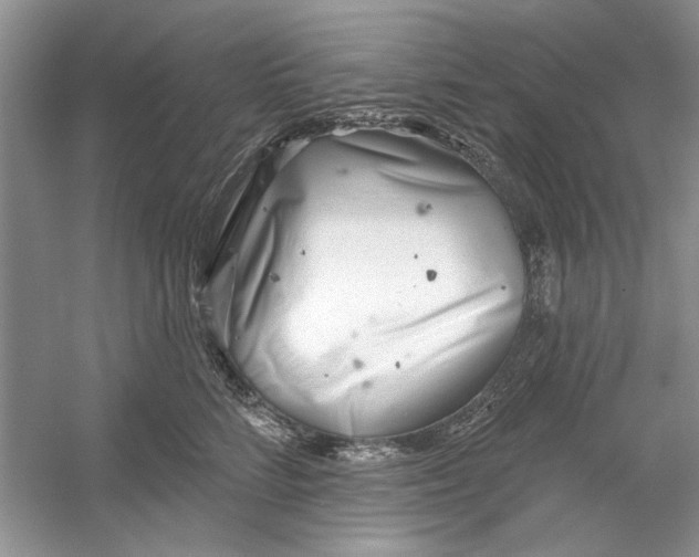 X0000053000712200508051134