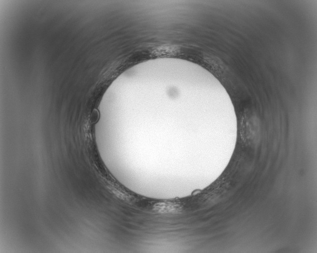 X0000053000714200508051134