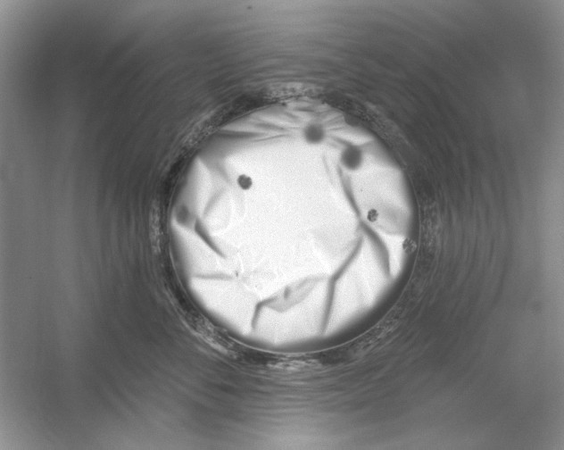 X0000053000716200508051134