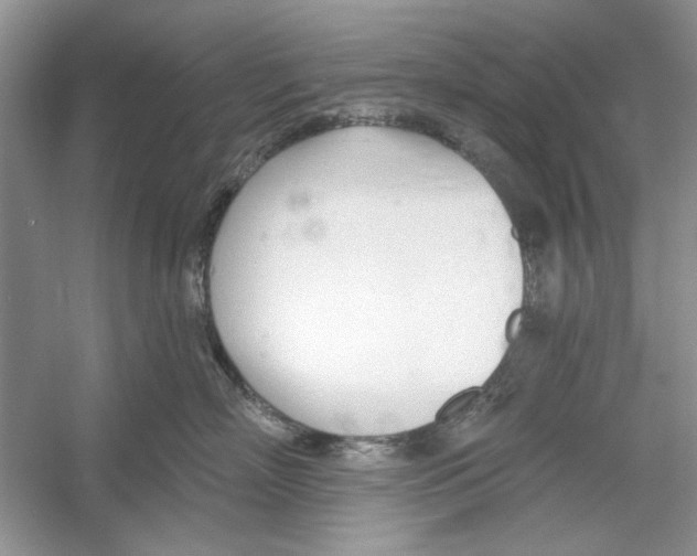 X0000053000718200508051134