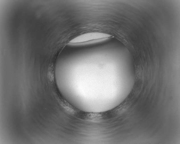 X0000053000719200508051134