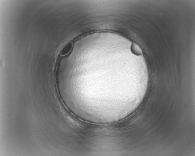 X0000053000721200508051133