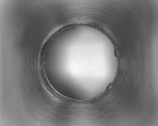 X0000053000722200508051133