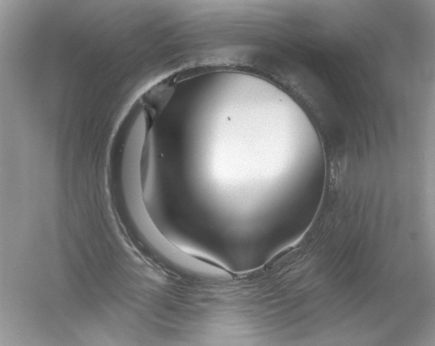 X0000053000724200508051133