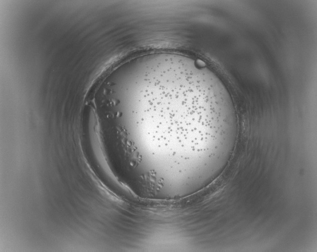 X0000053000725200508051133