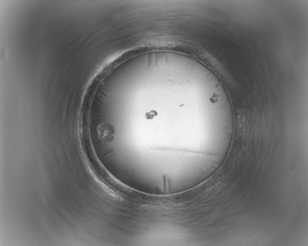 X0000053000726200508051133