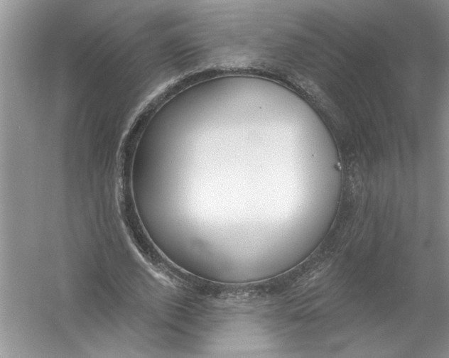 X0000053000728200508051133