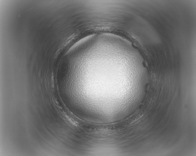 X0000053000729200508051133