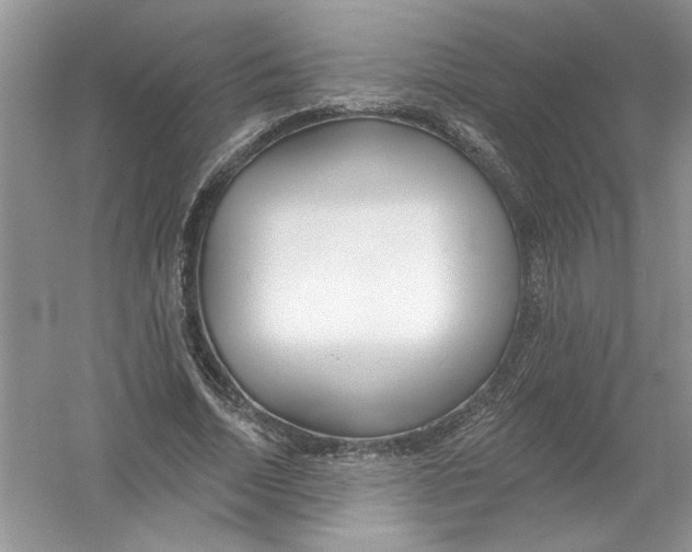 X0000053000730200508051133