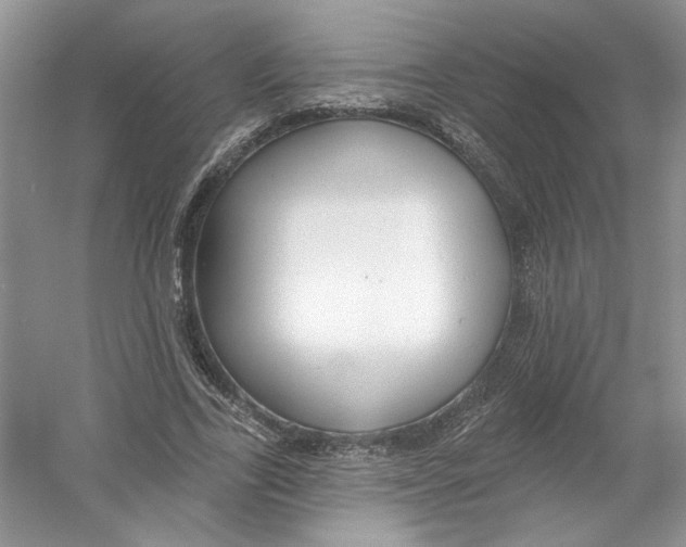 X0000053000731200508051133