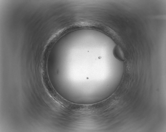 X0000053000732200508051133