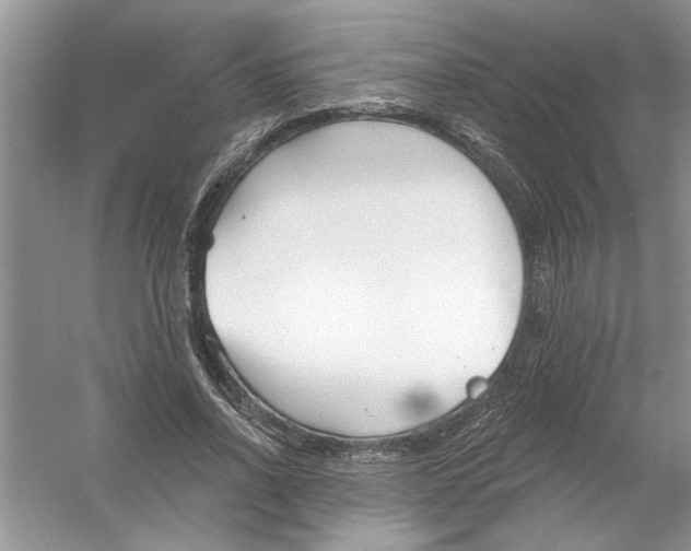 X0000053000734200508051133