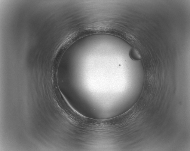 X0000053000735200508051133