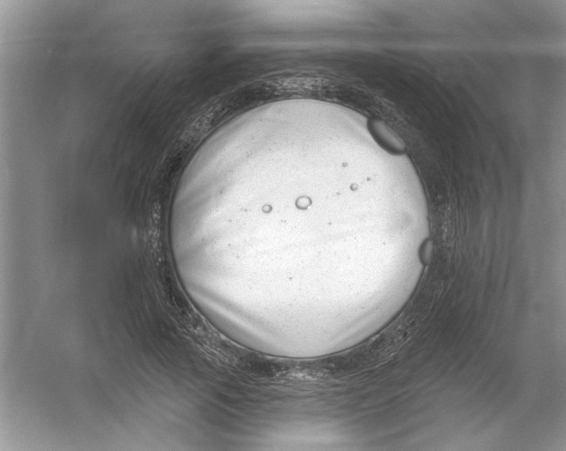 X0000053000737200508051133