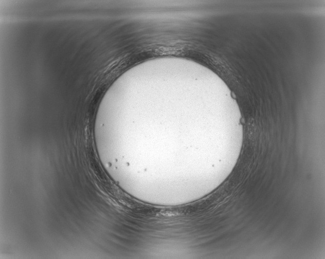 X0000053000741200508051134