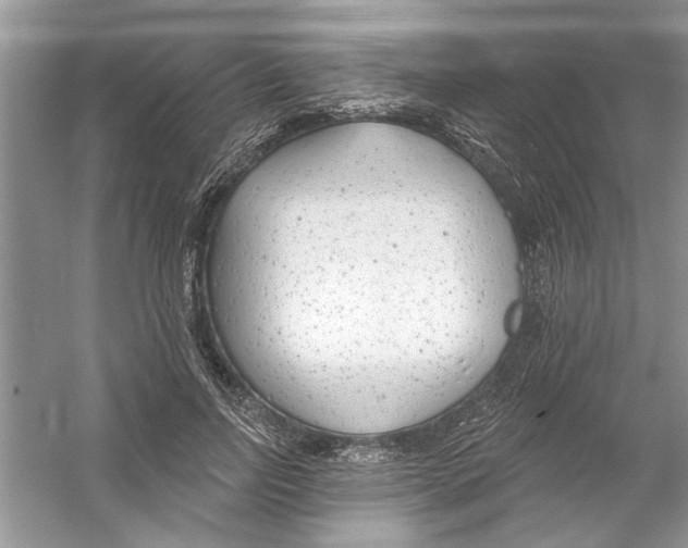 X0000053000742200508051134