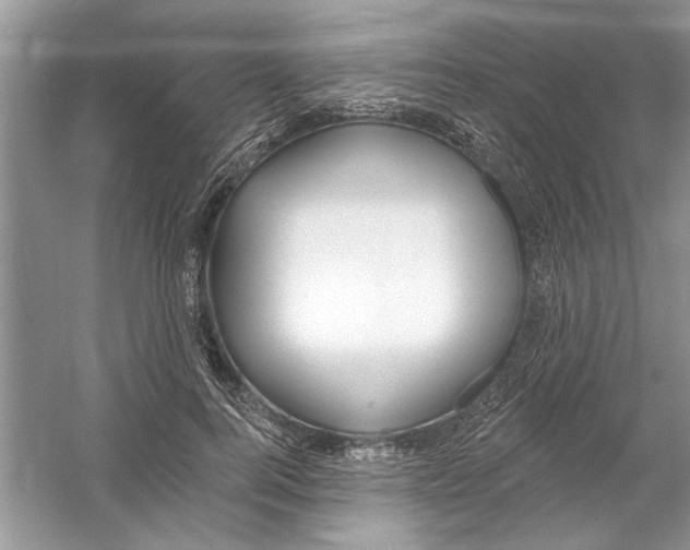 X0000053000744200508051134