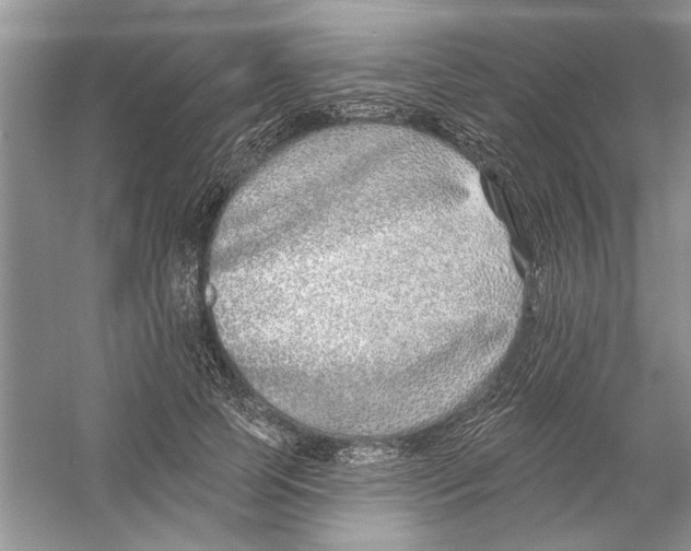 X0000053000745200508051134