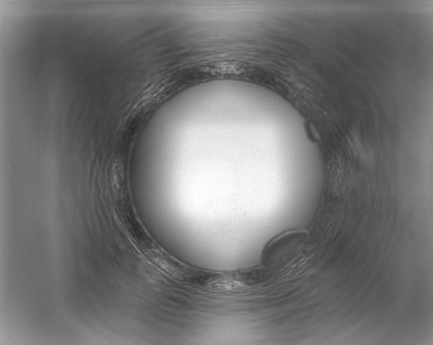 X0000053000747200508051134