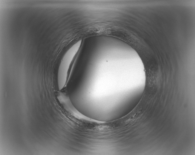 X0000053000748200508051134