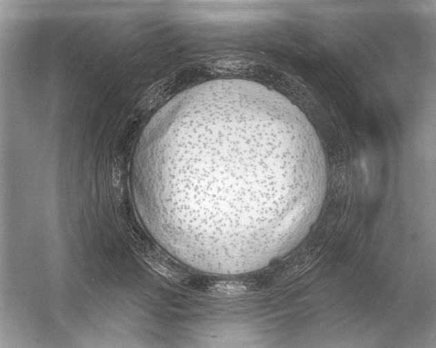 X0000053000749200508051134