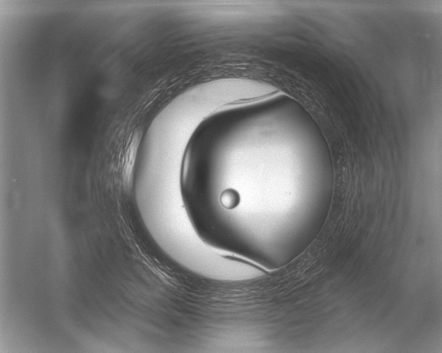 X0000053000750200508051134