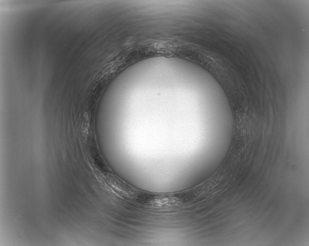 X0000053000752200508051134