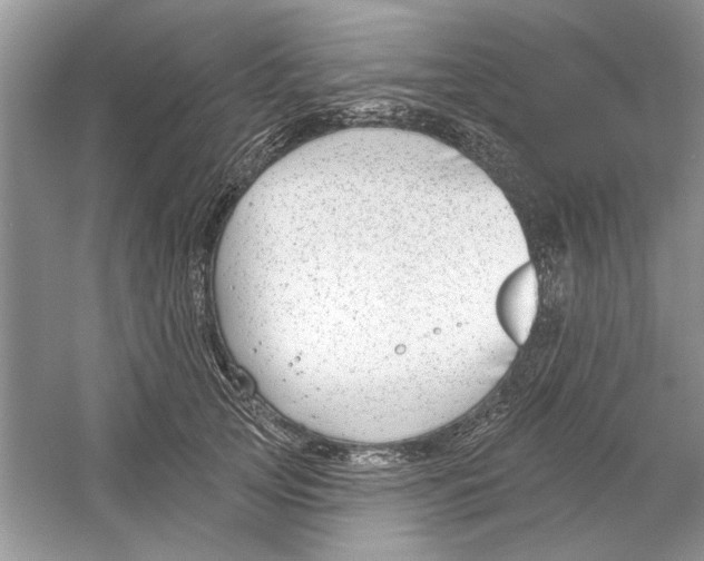 X0000053000753200508051134