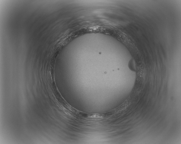 X0000053000754200508051134