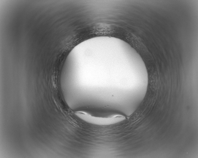 X0000053000755200508051134