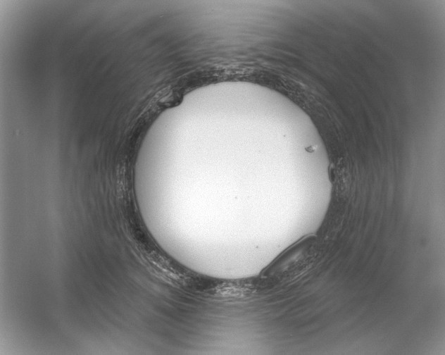 X0000053000756200508051134