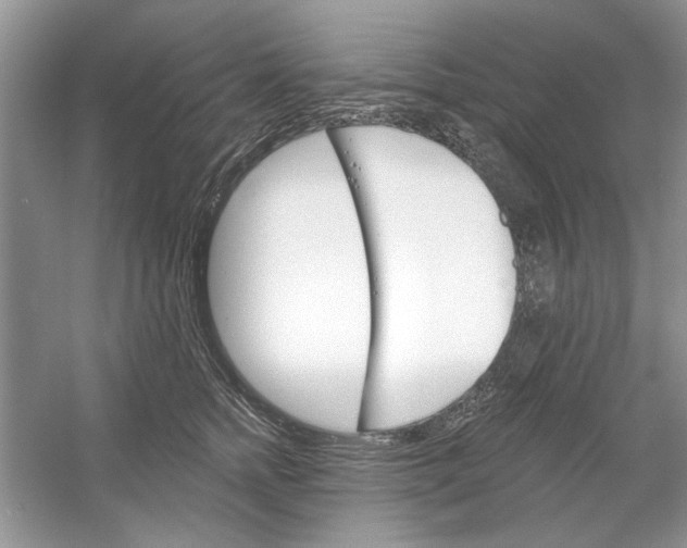 X0000053000758200508051134