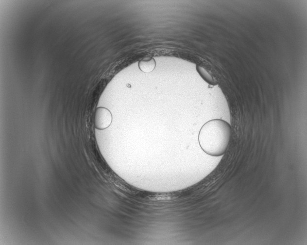 X0000053000759200508051134