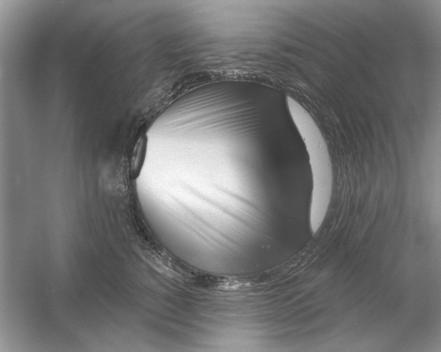 X0000053000760200508051134