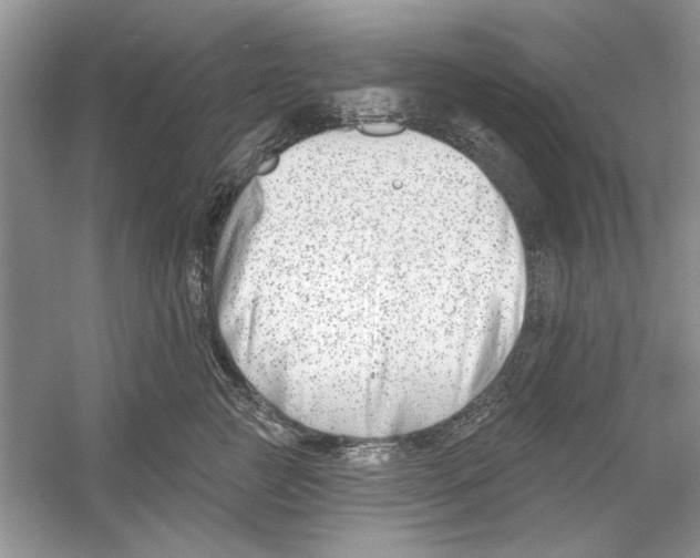 X0000053000761200508051134