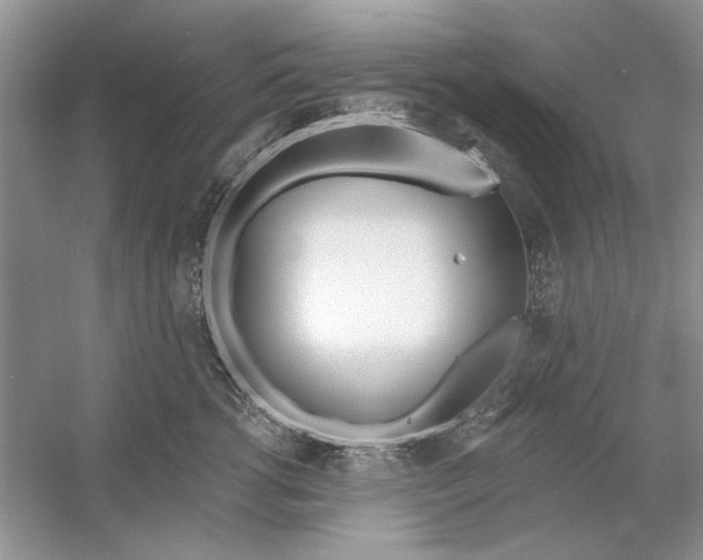 X0000053000762200508051134